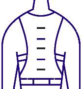 Body Brace icon